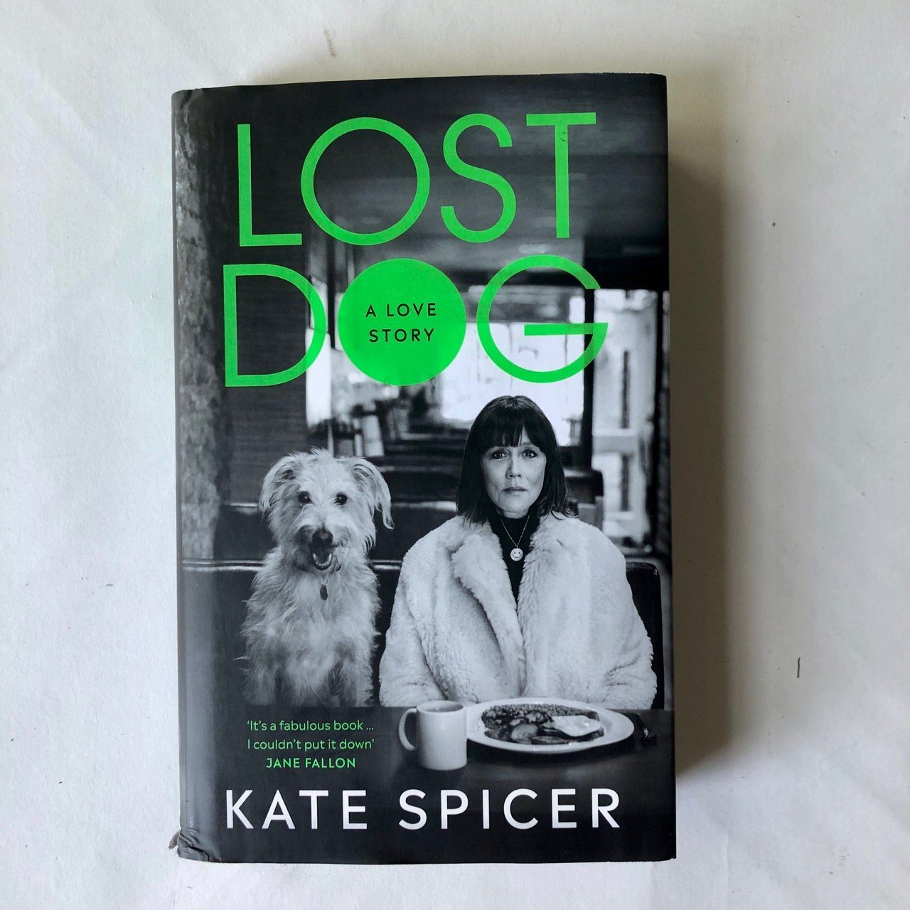 Kate spicer hot sale lost dog